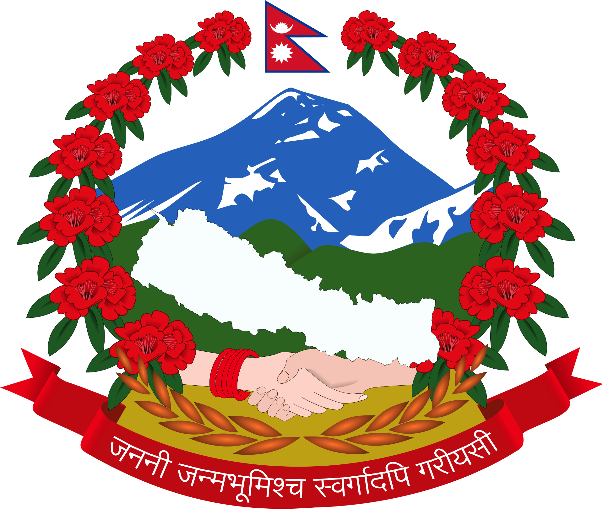 DHO Logo